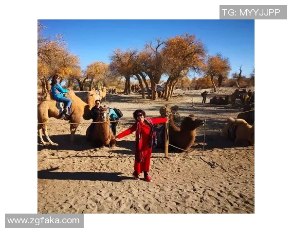 金珍妮与足球明星的浪漫邂逅与梦想追逐之旅